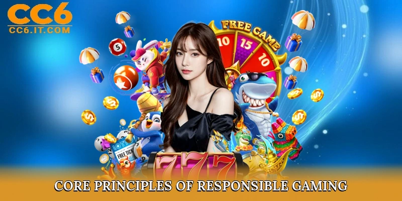 Core Principles of Responsible Gaming
