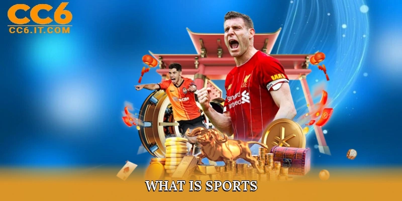 What is Sports?