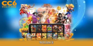 WildAce