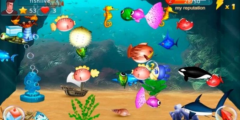 real-money-fish-shooting-games-What 