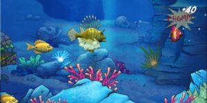 real-money-fish-shooting-games